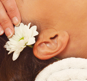 Acupuntura - Auriculoterapia