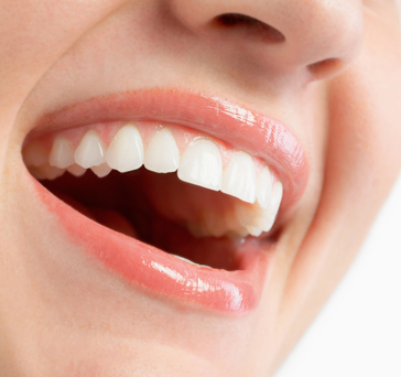 Ondontologia - Periodontia
